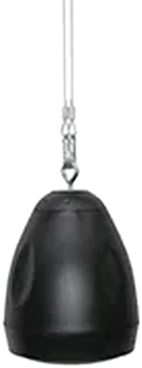 Black pendant speaker on a cable