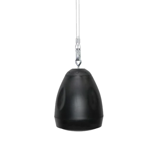 Pendant Speakers